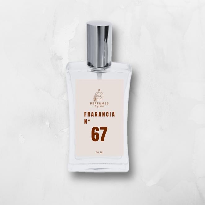 Fragancia 67 - Equivale a Acqua Di Gioia de Giorgio Armani