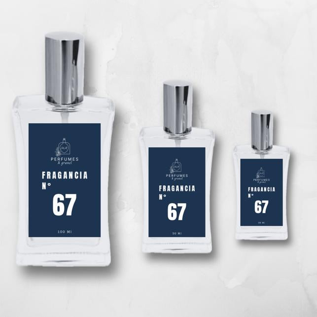 Fragancia 67 - Equivale a Acqua Di Gioia de Giorgio Armani